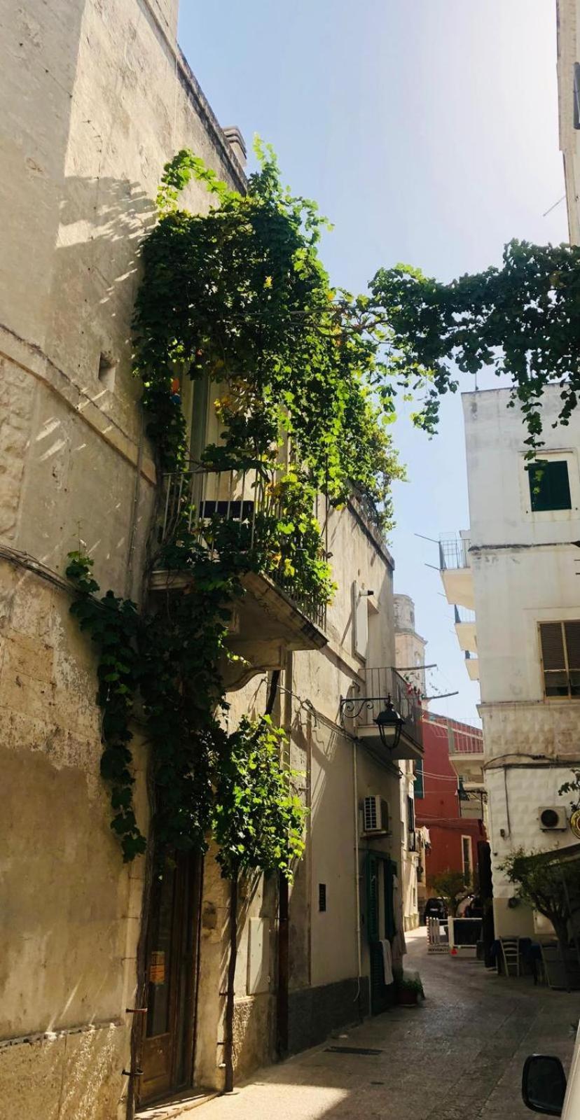 Novecento Διαμέρισμα Monopoli Εξωτερικό φωτογραφία