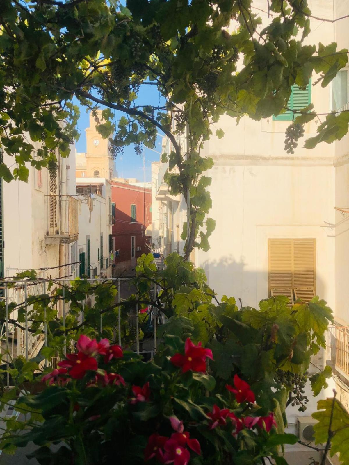 Novecento Διαμέρισμα Monopoli Εξωτερικό φωτογραφία